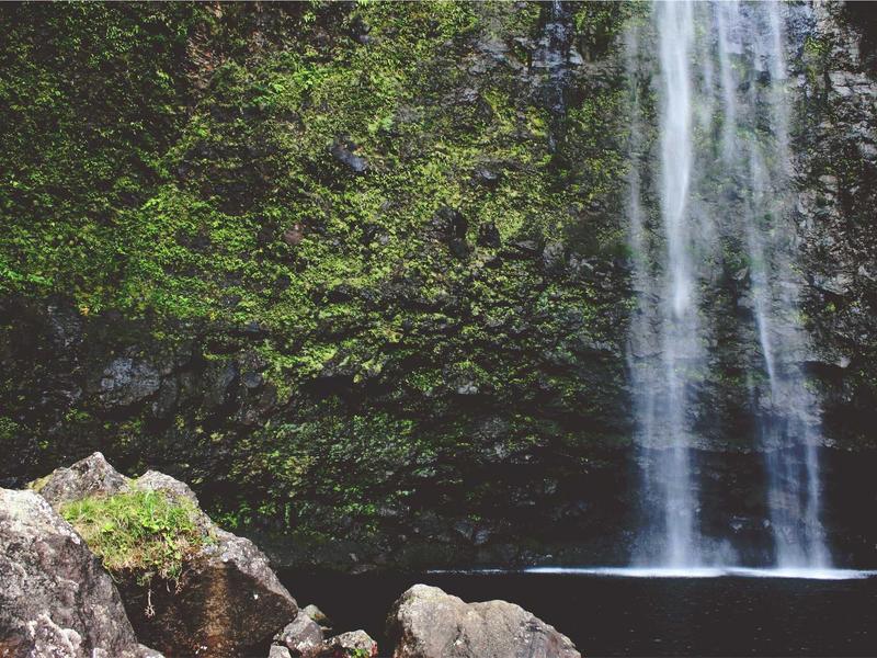 sudoku hidden singles screenshot 6